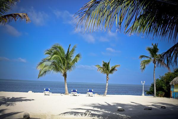 Coconut Cove Resort & Marina Islamorada Dış mekan fotoğraf