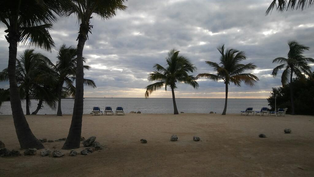 Coconut Cove Resort & Marina Islamorada Dış mekan fotoğraf